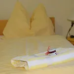 Gastehaus Im Priesterseminar 3*