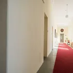 Guest house Gastehaus Im Priesterseminar 3*