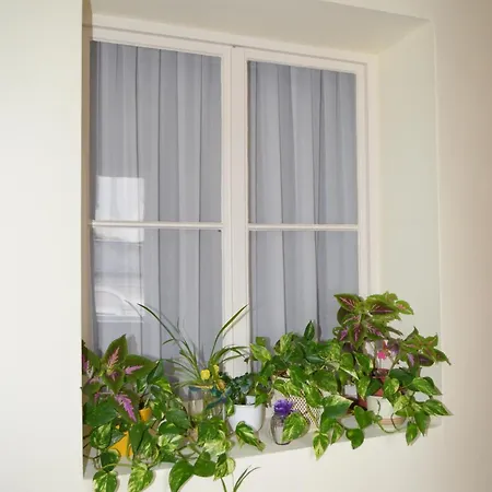 Gaestehaus Im Priesterseminar Pensión